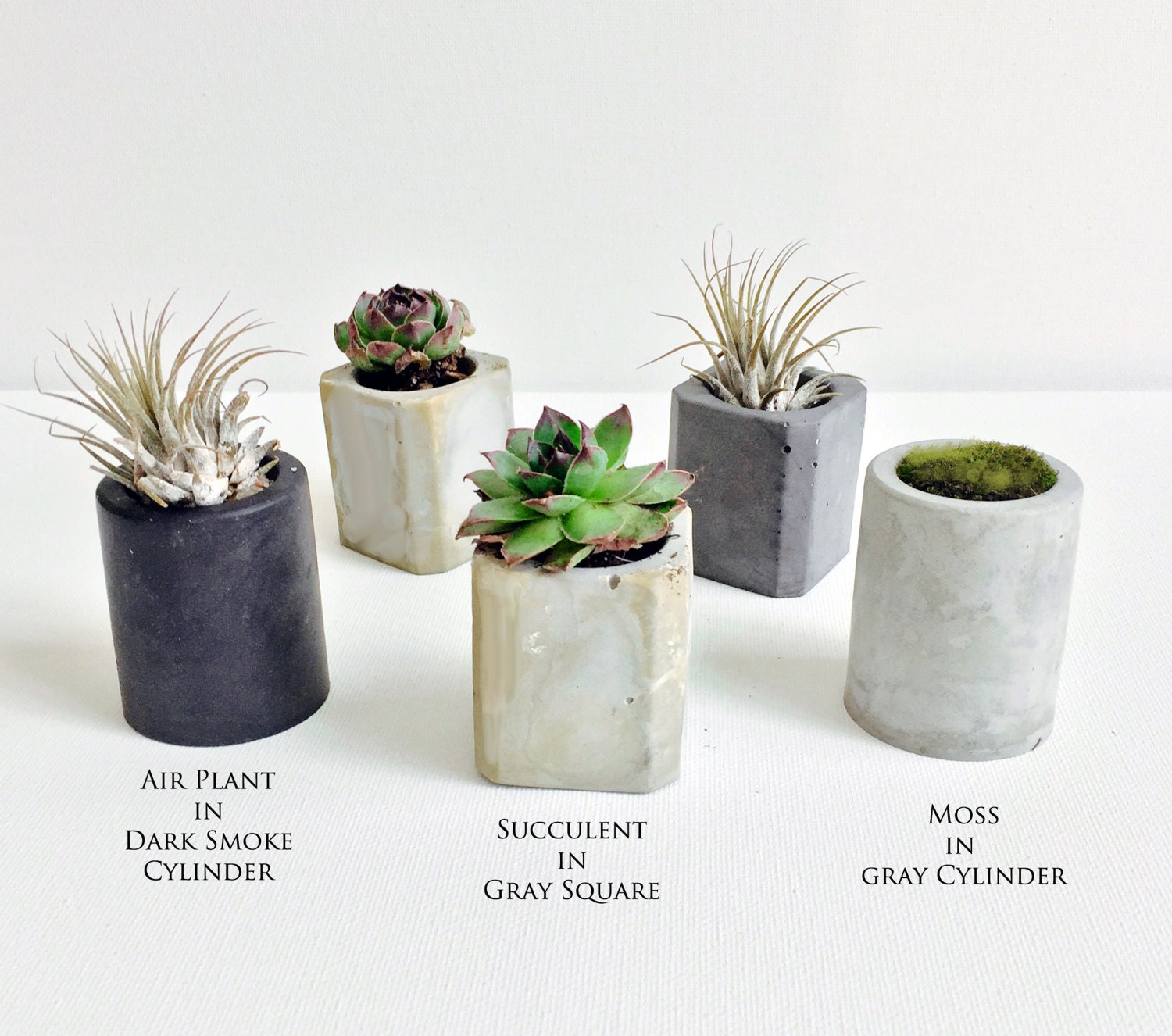 Mini Concrete Planters Etsy