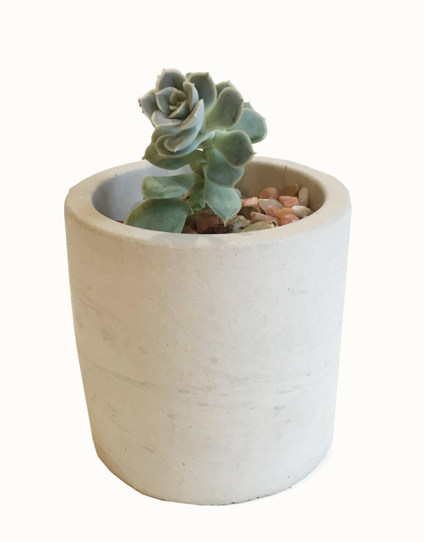 Cylinder Concrete Planter 3 Inch, Concrete Planter FREE SHIPPING