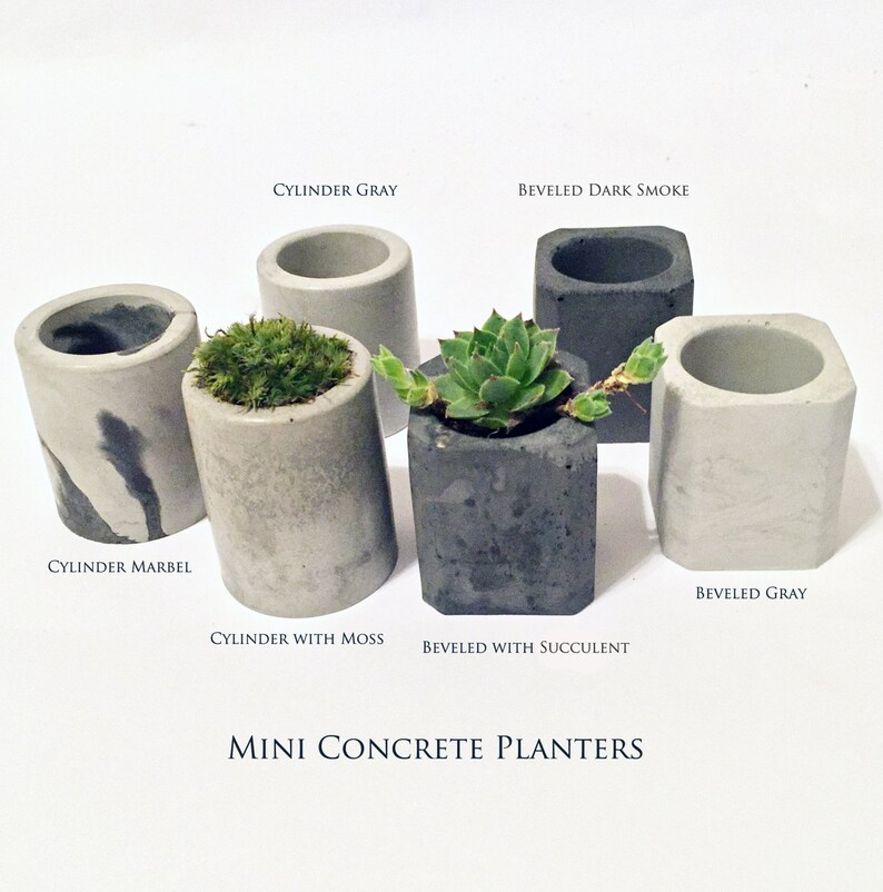 Mini Concrete Planters Etsy