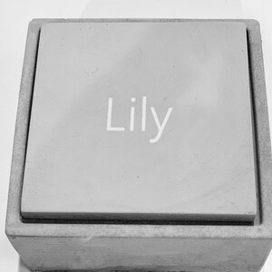 Pode incluir: Uma caixa de concreto cinza com uma placa retangular elevada. A placa tem o nome "Lily" inscrito em letras brancas.