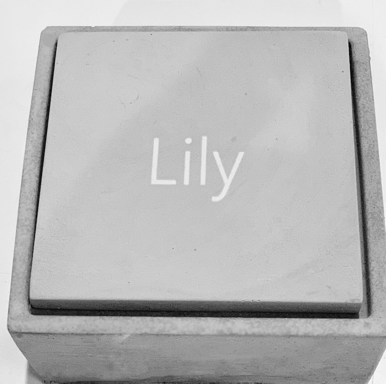 Pode incluir: Uma caixa de concreto cinza com uma placa retangular elevada. A placa tem o nome "Lily" inscrito em letras brancas.