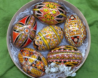 Set van 6 Oekraïense paaseieren Handgemaakte Pysanky Echte paaseieren Traditionele Oekraïense Pysanka Paaseieren van hoge kwaliteit Paasornamenten