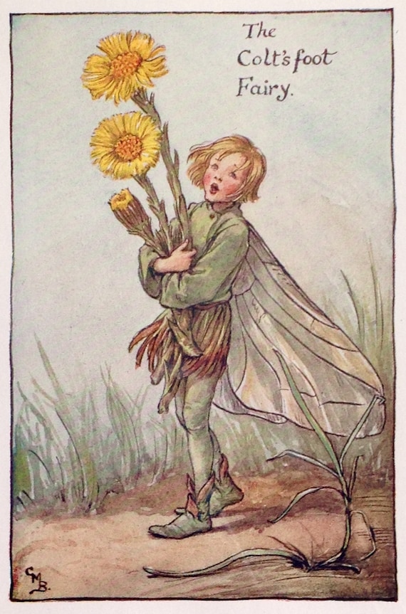 Larch Fairy by Cicely Mary Barker Spring Flower Fairies c1935 old print