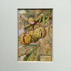 Horse Chestnut Fairy - Etsy UK