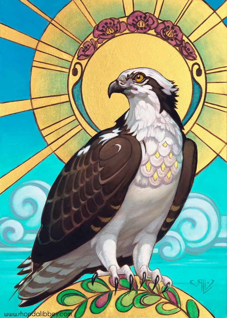 Osprey