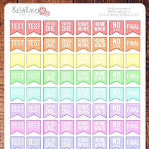 Pastel Mini College Student Planner Stickers, Student Stickers,for use in Erin Condren Planners, Happy Planner Stickers, Planner Stickers