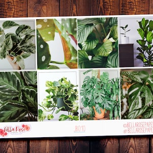 Plantes d’intérieur uniquement Boîtes complètes, à utiliser dans Erin Condren Life Planners, autocollants Happy Planner Just Boxes, plantes, plantes d’intérieur autocollant JB010