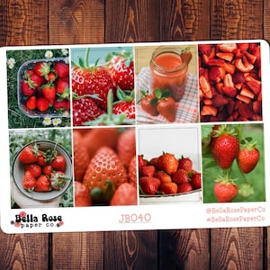 Strawberries Full Boxes, for use in Erin Condren Life Planners, Happy Planner Stickers Just Boxes, Summer Fruit Stickers JB040