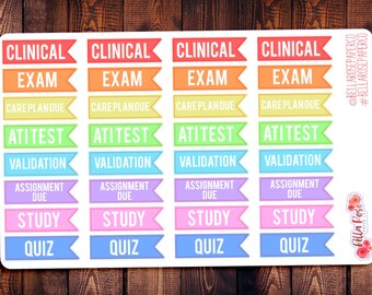 Nursing Student Flag Planner Stickers, Student Sickers, for use in Erin Condren planners, Happy Planner Stickers, College Stickers S006