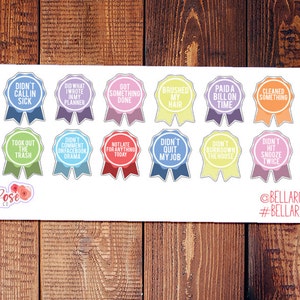Adulting Reward Stickers, Adult Stickers, Planner Stickers, Inspired By Erin Condren Planner Stickers, Happy Planner Stickers BD001