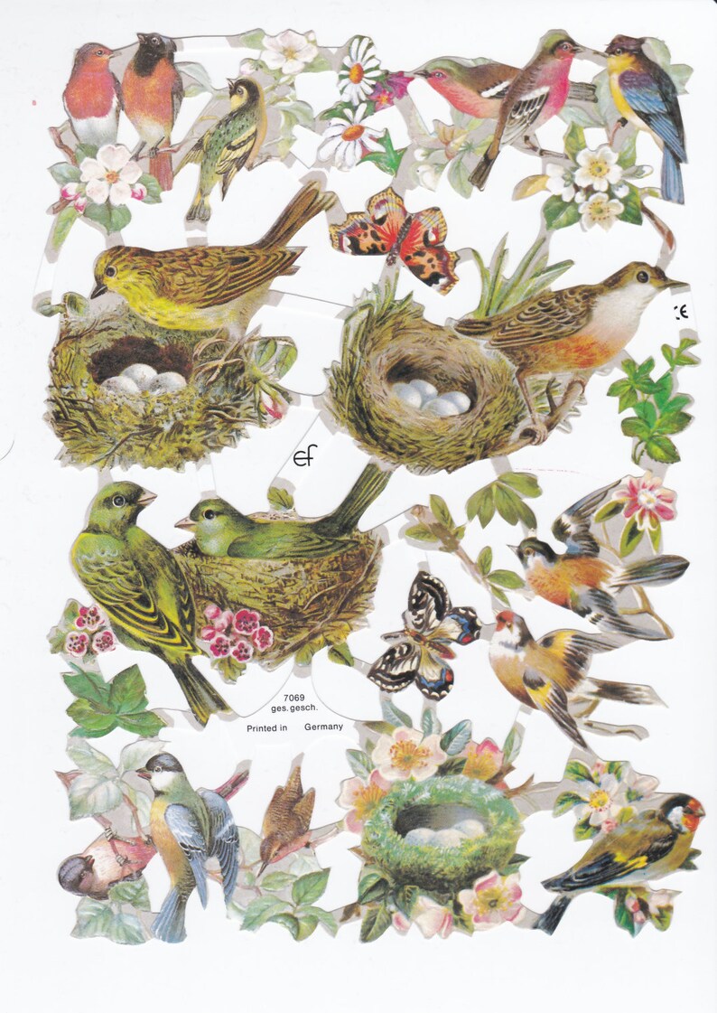 Paper Scraps Cutout Scrapbook Vintage Style Sheet Birds 12 Etsy