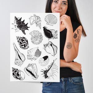 13 tatuajes temporales de conchas marinas: tinta negra de líneas finas, ideales para fiestas en la playa.