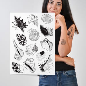 May include: Black and white illustration of various seashells. The artwork features detailed drawings of different shell shapes and textures, perfect for coastal decor or marine-themed art. The shells are arranged on a white background.