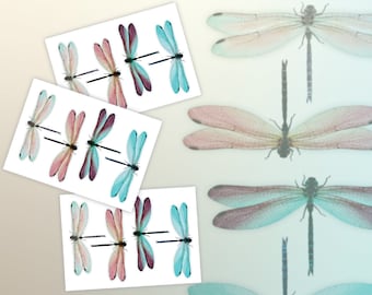 Dragonflies Temporary Tattoo Transfers. Kids Friendly Body Stickers. Birthday Party Favors, Cool Gift for Dragonfly Lovers.