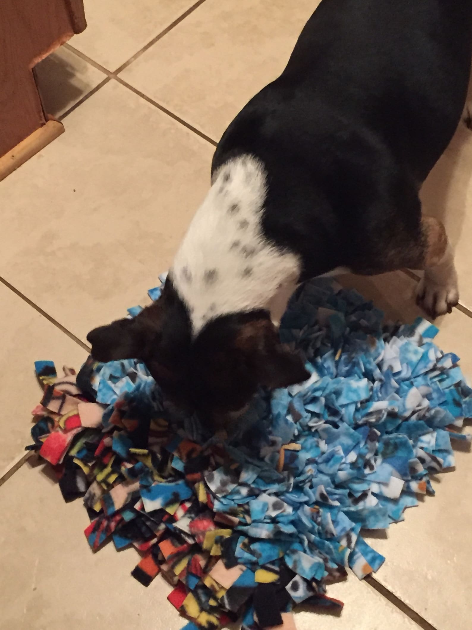 60x24 Choose Your Color Washable Snuffle Mat/treat Etsy