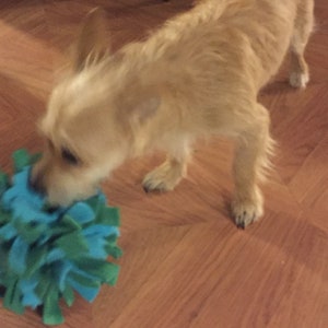 Snuffle Treat Ball Choose Your Colors