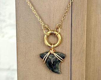 Authentic Shark Tooth Necklace - Gold Charm Stainless Steel Coastal Ocean Beach Jewelry Surfer Gift
