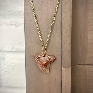 Fossilized Shark Tooth Necklace: Gold Tarnish-Resistant Chain, Coastal Jewelry