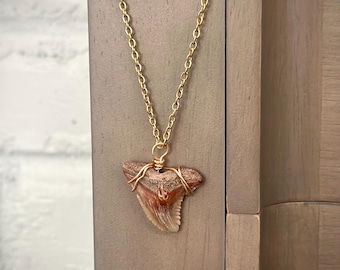 Fossilized Shark Tooth Necklace – Gold Chain, Tarnish Resistant, Large Shark Tooth Pendant, Coastal Jewelry, Unique Ocean Gift