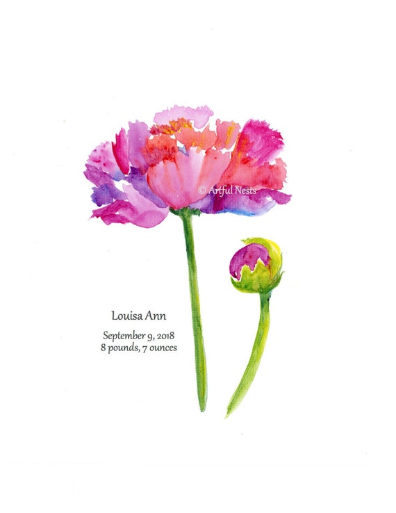 peony flower print may birth flower birth announcement art pink and purple personalized with birth stats or quote may birth flower