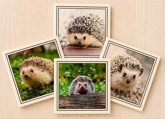 Personalized hedgehog coaster set with vibrant custom art — niche enough to feel like it was made *for* the recipient, not just picked off a shelf.