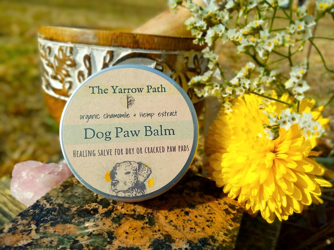 All Natural Dog Paw Balm With Chamomile, Salve for Dry & Cracked Paw