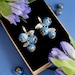 see more listings in the Blueberries section