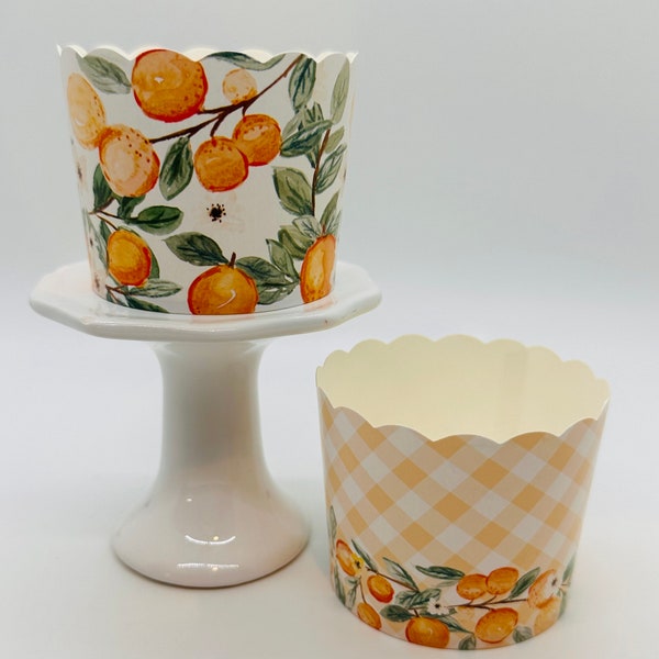 Set of 6 Orange Baking Cups. Paper Cupcake Holders. Muffin Container. Candy Container. Party Supplies. Gift Holders. Snack Cups