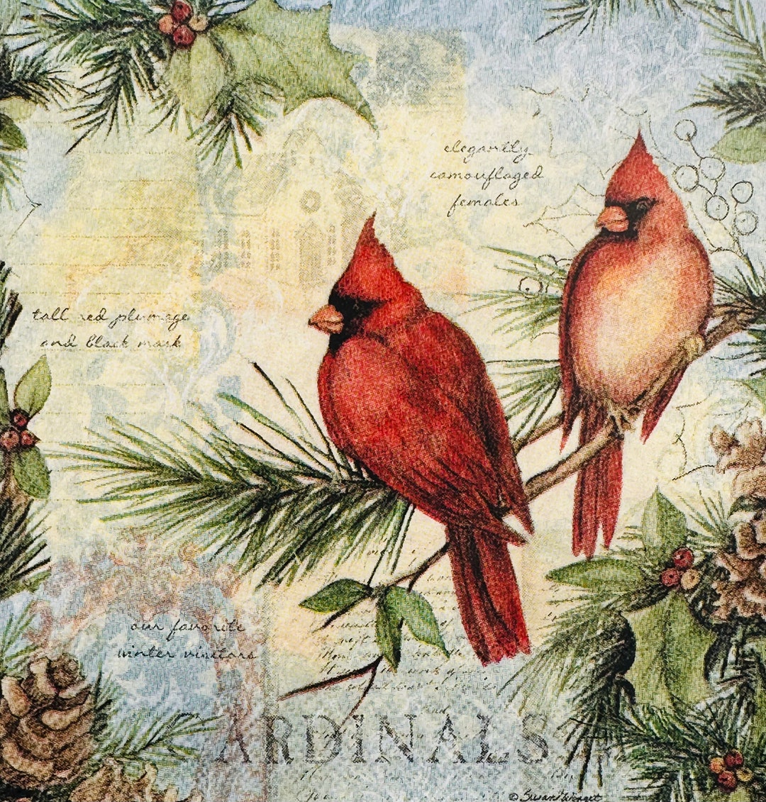 4 Cardinal Paper Napkins. Cocktail Paper Napkins for Etsy