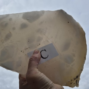 alabastro, pieza de piedra para esculpir, disco de alabastro blanco nublado, 1 pieza de piedra, dureza media, veteado blanco después del pulido.