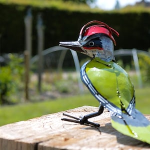 green woodpecker in metal, garden decoration, statue handmade in Zimbabwe, birds of Zimbbwe, yaffle