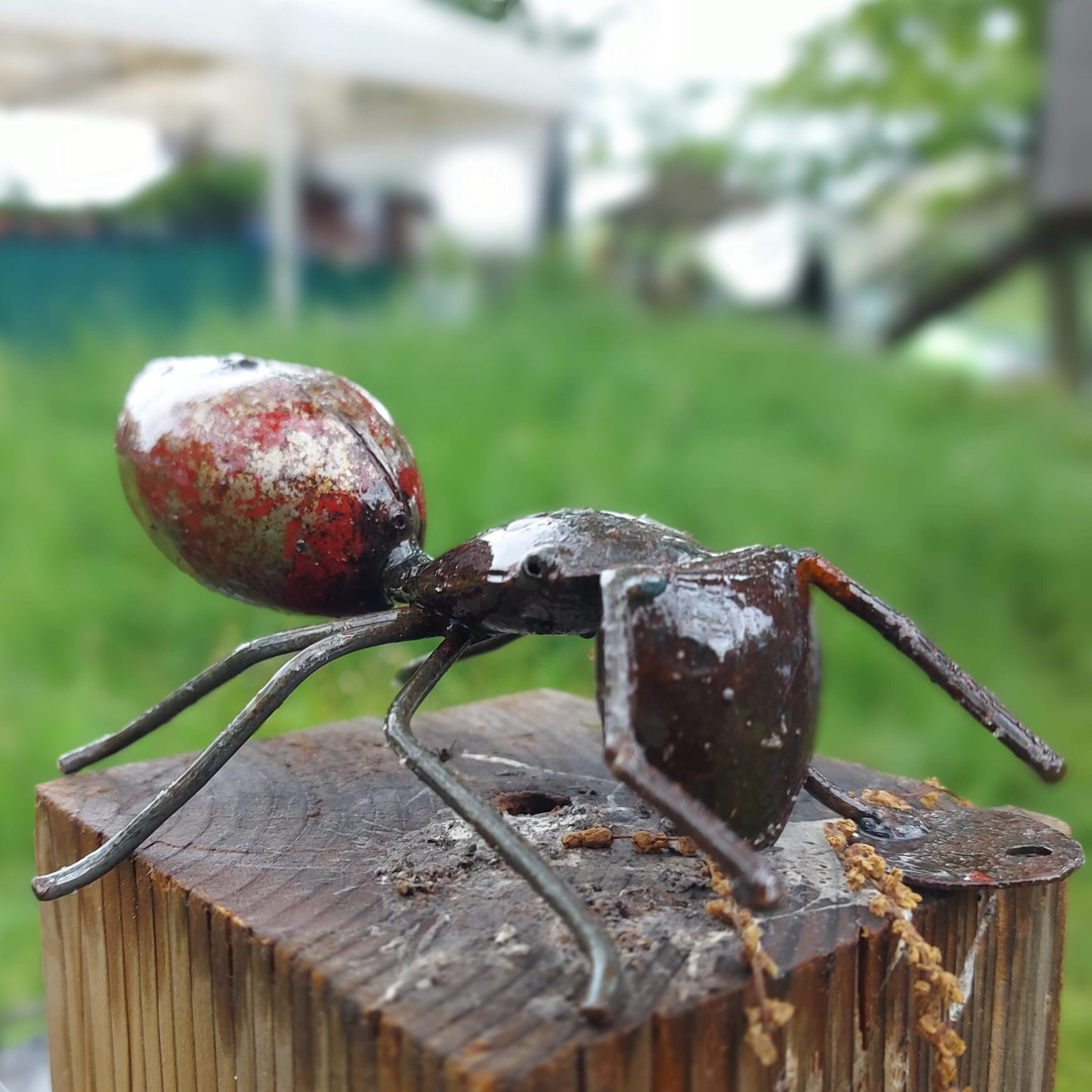 Ant, iron ant, garden art, yard art, lawn sign, lawn art, yard sign, r –  ForgedCommodities