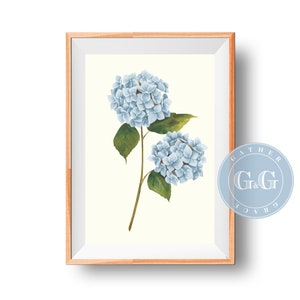 Vintage Hydrangea Print