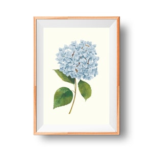 Vintage Hydrangea Print image 3