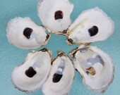 Extra Deep Large 6 CUP Oyster Shells for Candle Making . Sizes 3 1 4 quot up to 4 quot Oyster Shells from Cape Cod Bay. Ready to Craft .