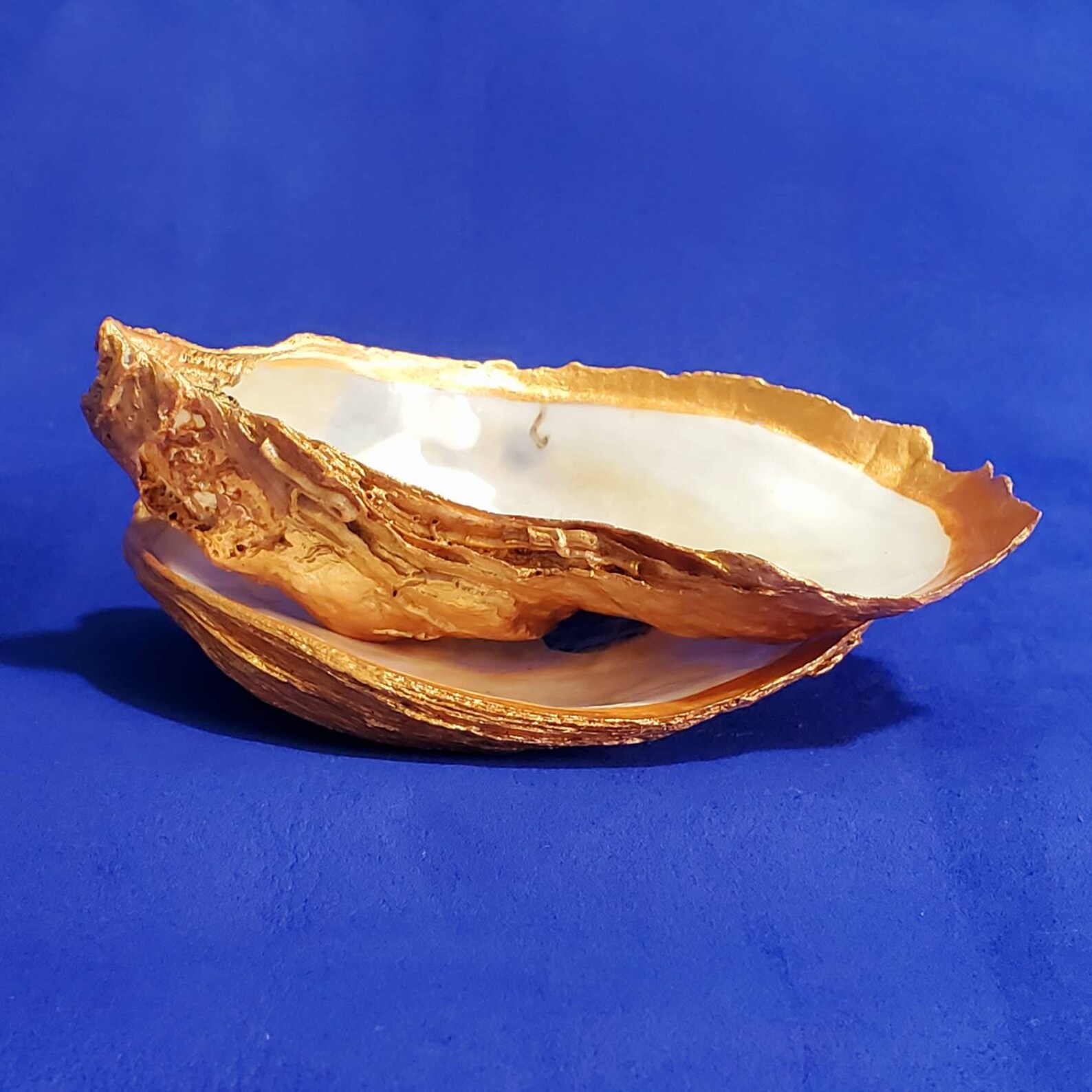 Gold Painted Large Oyster Shell CUP and SAUCER Table Décor. Etsy