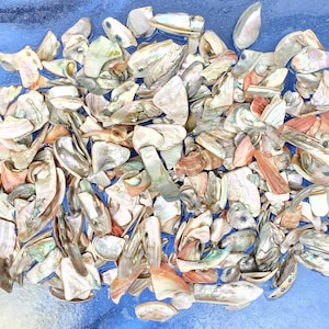 4 oz Tumbled Mixed Size Abalone  Shells Pieces.  Pendant Abalone Shell Pieces. Mixed sizes and Shapes Abalone Shell Pieced.