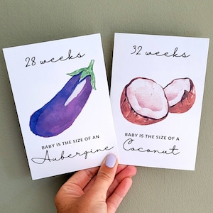 Pregnancy Milestone bump comparison cards photo prop pregnancy gift watercolour, elegant print image 3