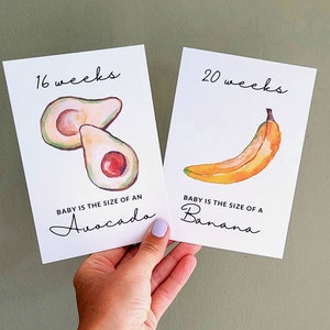 Pregnancy Milestone bump comparison cards photo prop pregnancy gift watercolour, elegant print image 2