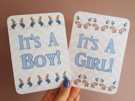 Peter Rabbit Beatrix Potter Baby Milestone cards x 20 special Moments photo