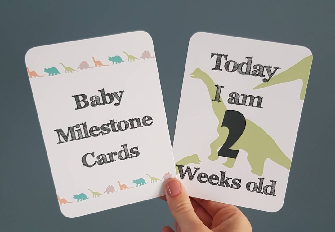Dinosaur Baby Milestone Cards X 20 First Year Photo Memorable Moments ...
