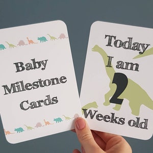 Cartões Dinosaur Baby Milestone x 20 fotos do primeiro ano, momentos memoráveis, presente unissex
