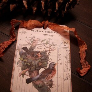 Tags Primitive Nesting Birds - Botanische Tags