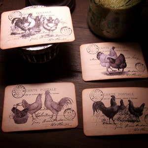 Cartões postais de frango primitivo - Lembrança - Correio de arte - Cartões de receita
