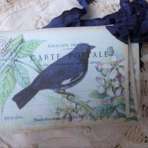 VIER Vintage geïnspireerde botanische blauwe vogel Franse postkaart hang tags / gift tags