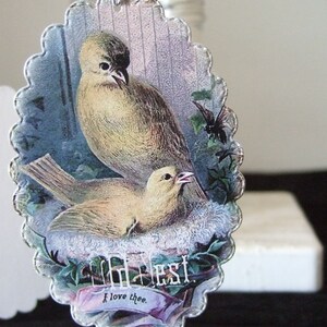 NEUF médaillons d'oiseaux de style vintage - étiquettes pour nid - pochettes de journaux - cadeau pour tout le monde