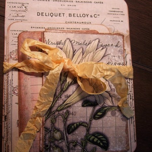 Lot d'éphémères botaniques ~ Scrapbooking ~ Fabrication de cartes ~ Kits de papier
