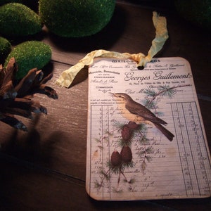Etichette per uccelli nidificanti primitivi - Etichette regalo vintage