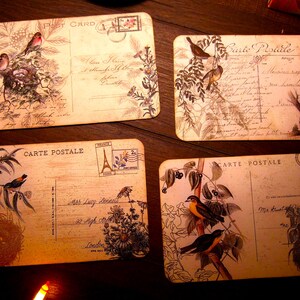 Cartes postales botaniques d'inspiration vintage d'oiseaux et de nids