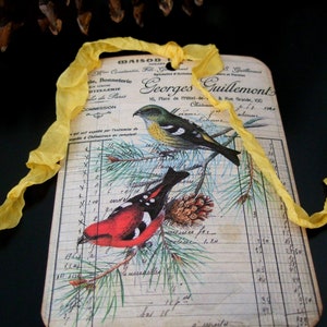 Bird Tags - Pine tree Birds - Vintage Gift Tags - Red Birds